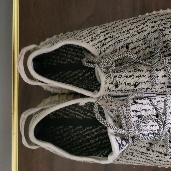 Turtle dove - Picture 2 of 6